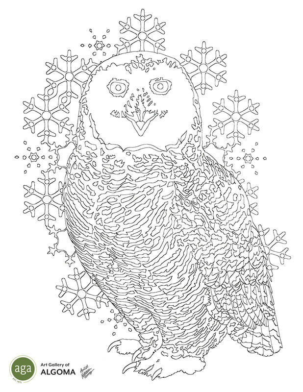 Snowy Owl colouring page.