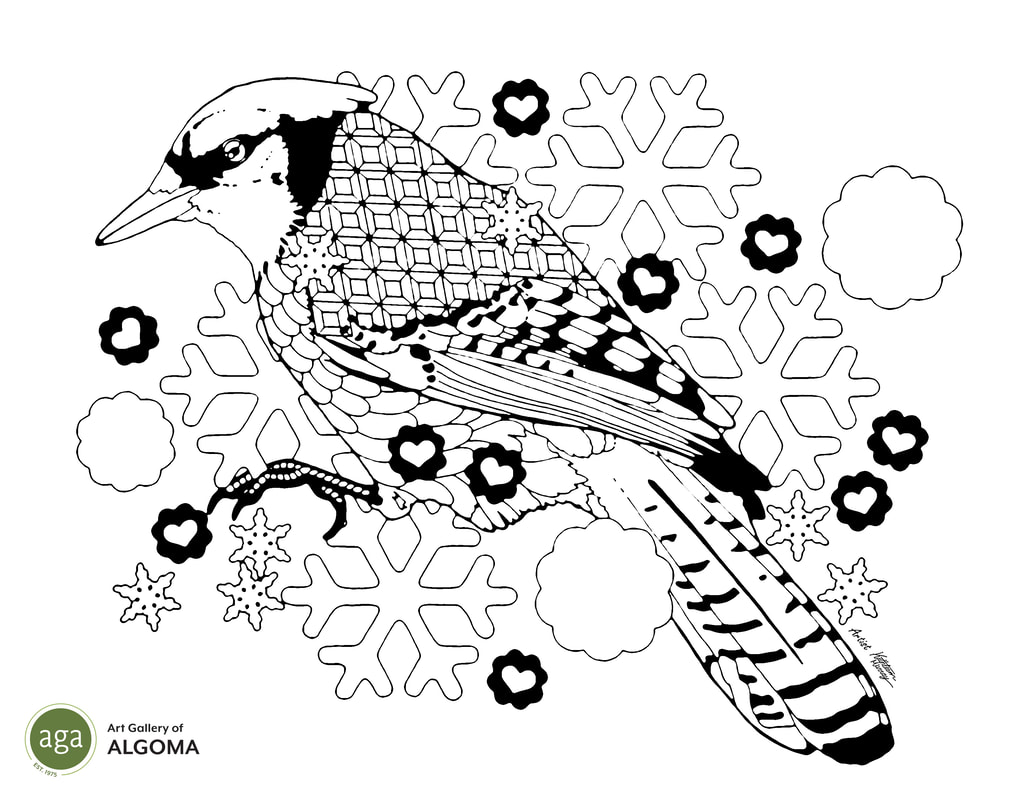 Blue Jay colouring page.
