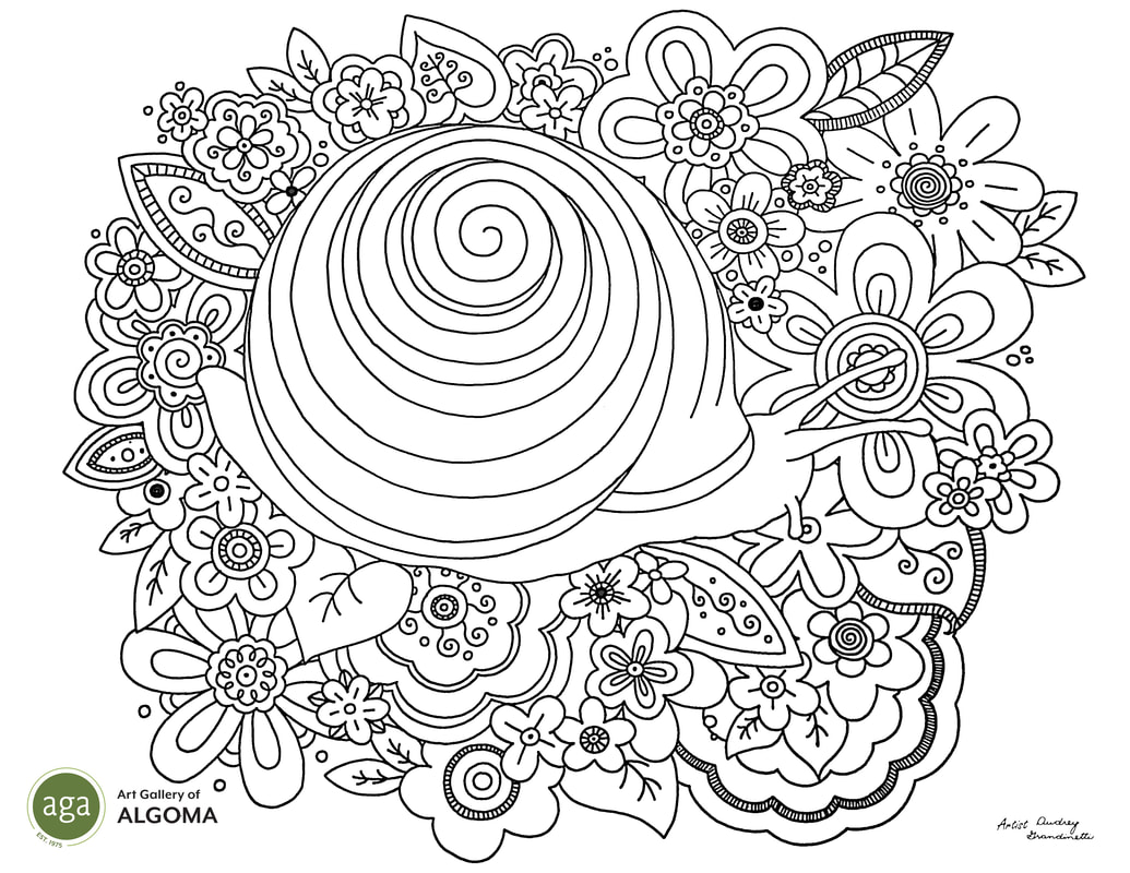 Snail colouring page.