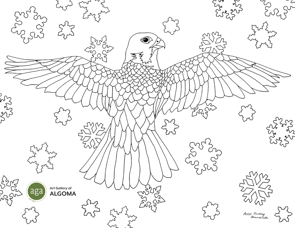 Peregrine Falcon colouring page.