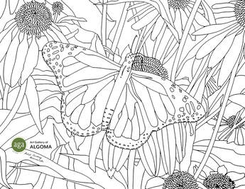 Monarch Butterfly colouring page.